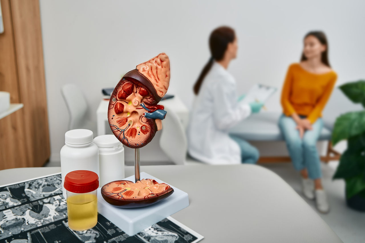 Urologist consultation for adult woman. Collecting urine to tests and treatment of kidney diseases at urology,Urologist consultation for adult woman. Collecting urine to test